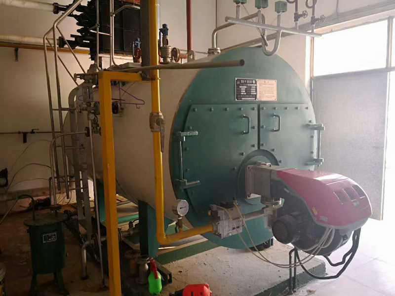 天津合治藥業(yè)4噸燃氣蒸氣